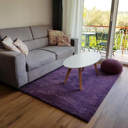 Apartman Luka Novigrad  Luaran gambar