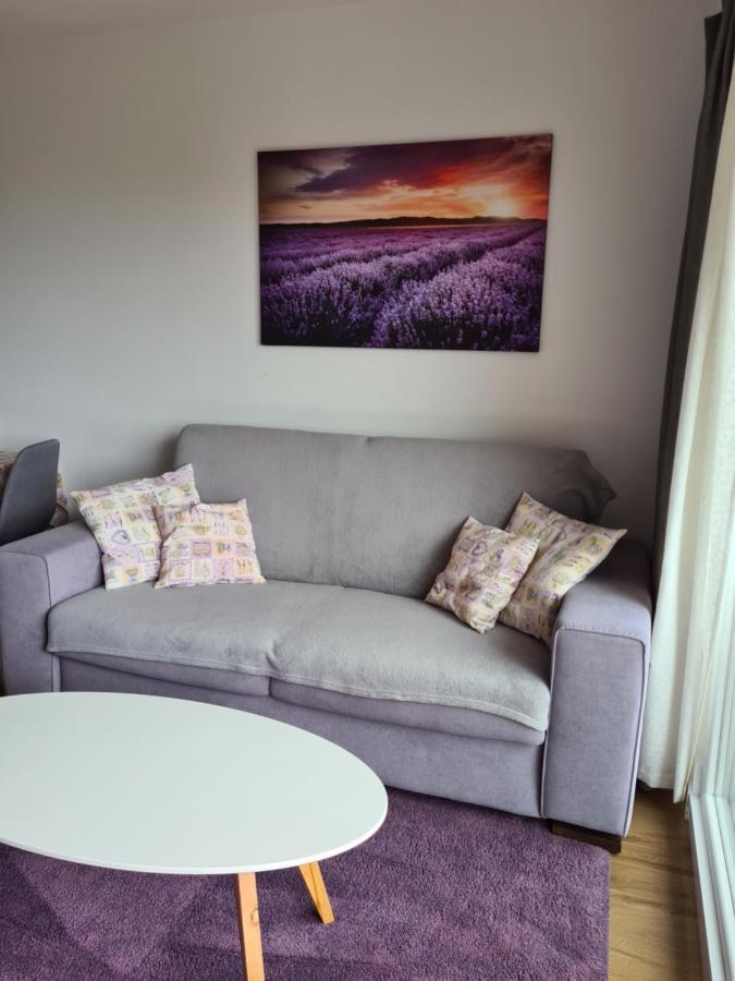 Apartman Luka Novigrad  Luaran gambar