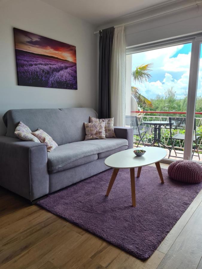 Apartman Luka Novigrad  Luaran gambar